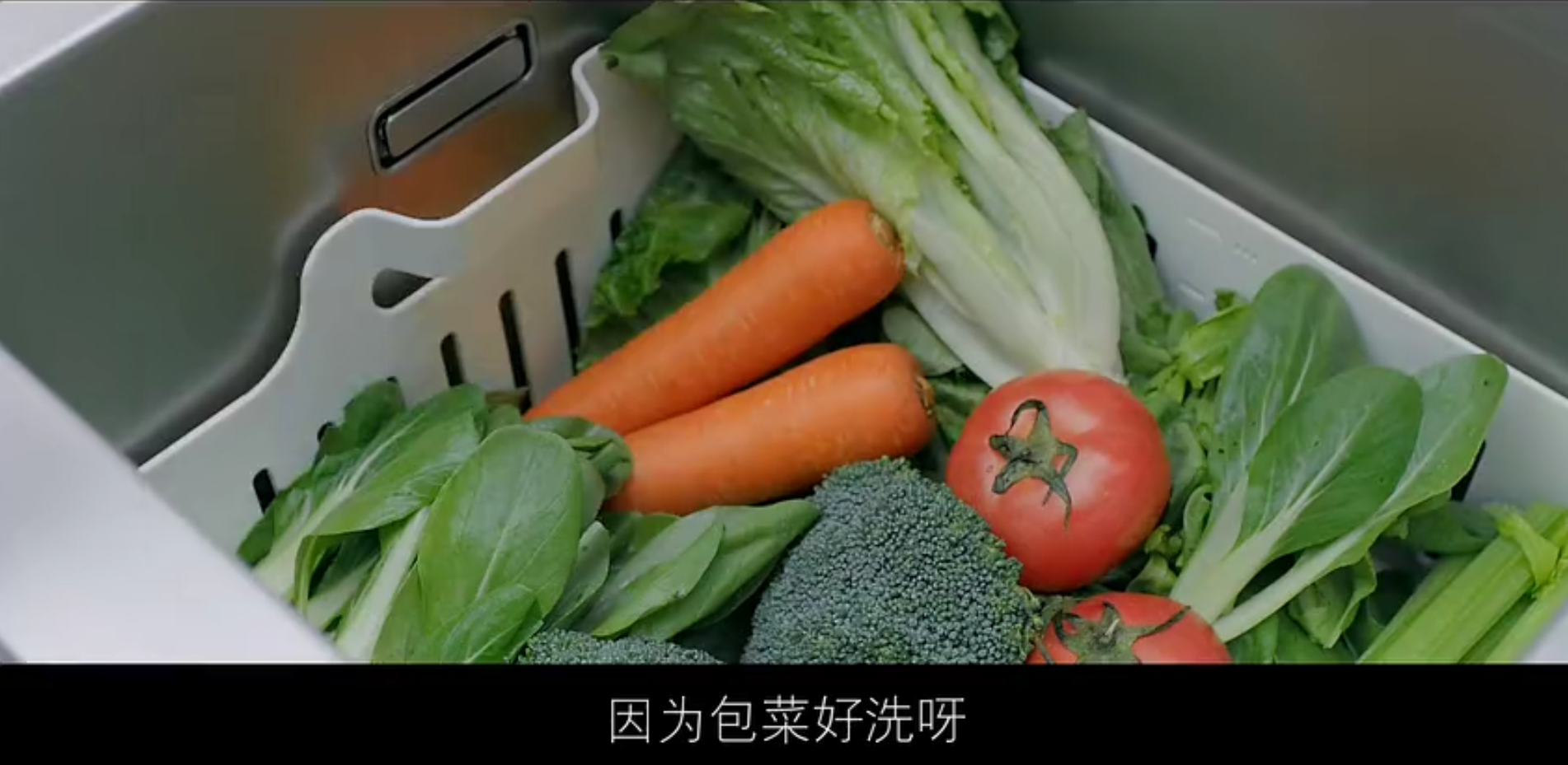 一言不合就炒包菜《炒包菜》方太