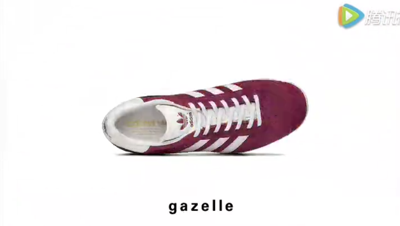 Gazelle夏季廣告 阿迪達斯經典三葉草