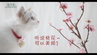 佰草集 “桃”氣喵測評記