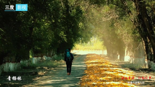 兵團九師 -《云上草原 紅色故鄉(xiāng)篇》