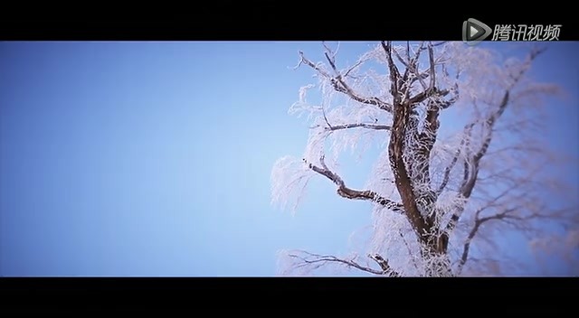 VIVA旅行家 -《21個雪的旅行 篇》