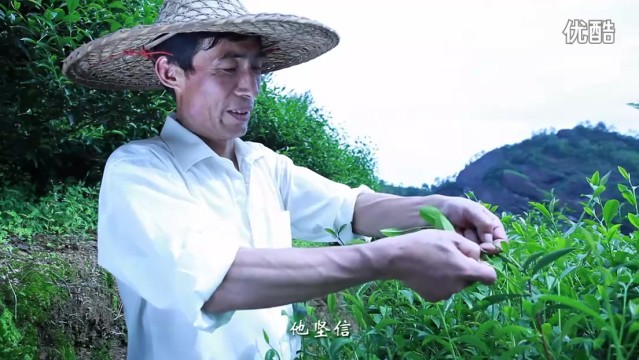 茶農(nóng)微電影 《陳冬林 巖茶篇》