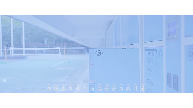 MV 《那花兒》