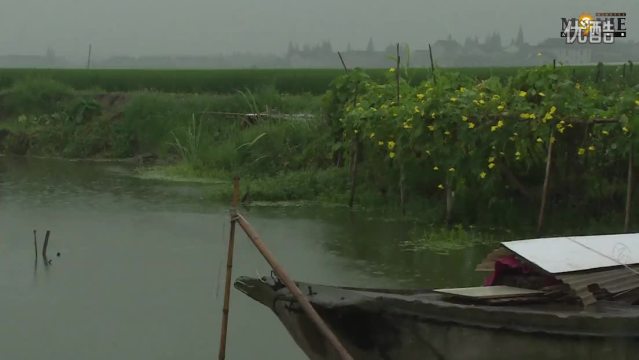 短片 《再見稻草人》